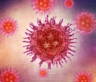 Human papillomavirus